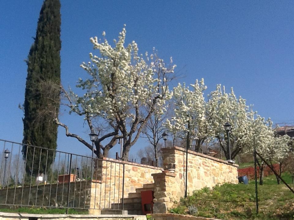 Casatorta Bed & Breakfast Vicchio Exterior photo